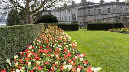 A garden with red and white tulips in full bloom, bordered by neatly trimmed hedges, is in front of a large, historical stone building on a cloudy day.